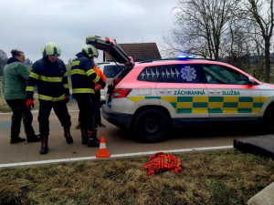Problémová pejskařka z Prahy havarovala na jihu Čech. Čtrnáct psů se rozuteklo do luk, jeden po nehodě zahynul