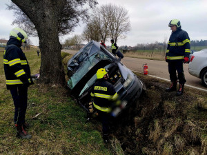 Problémová pejskařka z Prahy havarovala na jihu Čech. Čtrnáct psů se rozuteklo do luk, jeden po nehodě zahynul