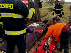 Problémová pejskařka z Prahy havarovala na jihu Čech. Čtrnáct psů se rozuteklo do luk, jeden po nehodě zahynul