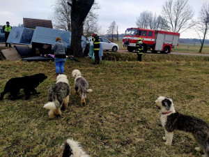 Problémová pejskařka z Prahy havarovala na jihu Čech. Čtrnáct psů uteklo do luk, jeden po nehodě zahynul