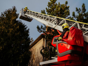 VIDEO: Zvířátko na víkend. Pražští hasiči zachránili kočku ze stromu