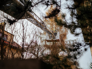 VIDEO: Zvířátko na víkend. Pražští hasiči zachránili kočku ze stromu