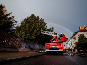 VIDEO: Zvířátko na víkend. Pražští hasiči zachránili kočku ze stromu
