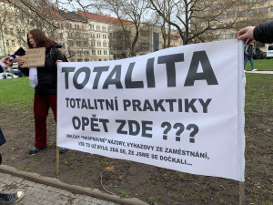 Na místo dorazili i Ševčíkovi podporovatelé.