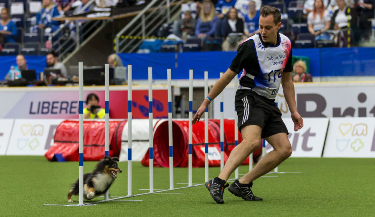 Mistrovství světa v agility se blíží. V Liberci na podzim změří síly stovky závodníků