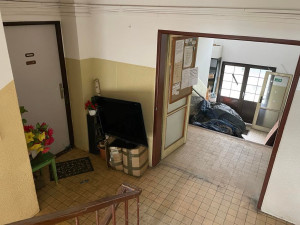 Žena chová v bytě čtrnáct psů, teď se má stěhovat. Smrad připomíná prasečák, líčí sousedka