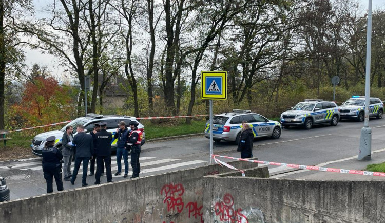 Na místo přijela i zásahová jednotka.