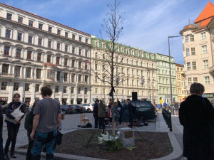 V Praze vysadili nový strom Olgy Havlové, připomíná oběti násilí na postižených