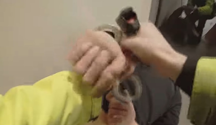 VIDEO: Zfetovaný cizinec přišel​​​​​​​ do hotelu, kde nebydlel. Bouchal hlavou do skla a útočil na strážníka