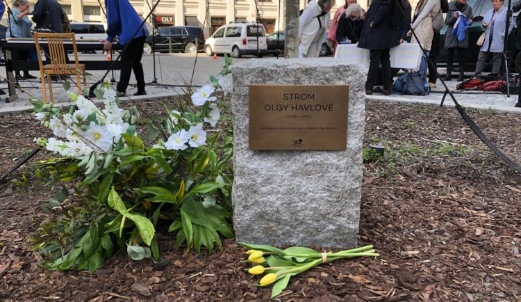 Pamětní deska je přímo pod stromem.