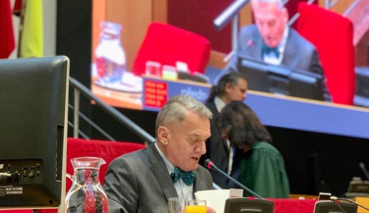 336321572_255960953526816_3338710599050979844_n