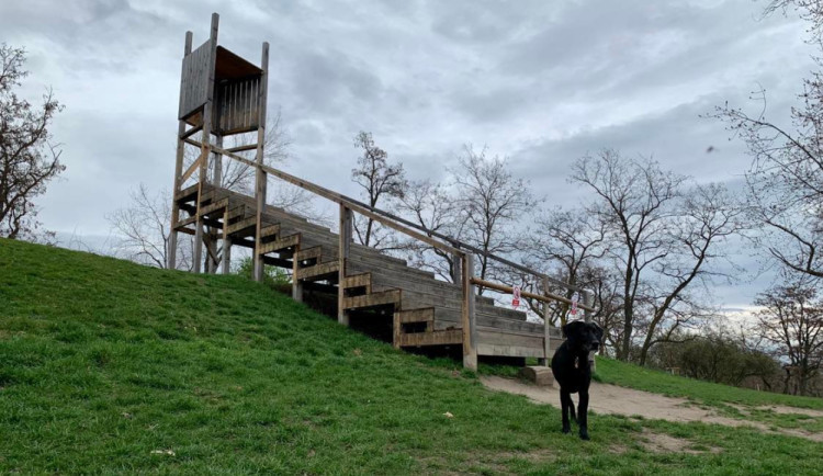 Z Vítkova mizí Pozorovatelna. Podle magistrátu se ji nevyplatí opravit