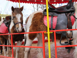 VIDEO: Lidé protestovali proti jízdě na ponících na Matějské pouti