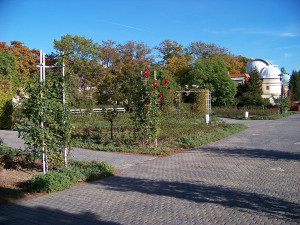 Letos začnou úpravy pražského Vítkova a růžového sadu na Petříně