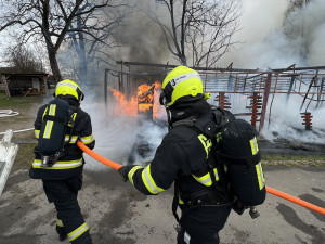 VIDEO: Stáje v Praze lehly popelem. Uhynuli v nich koně