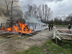 VIDEO: Stáje v Praze lehly popelem. Uhynuli v nich koně