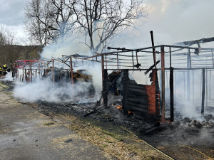 VIDEO: Stáje v Praze lehly popelem. Uhynuli v nich koně