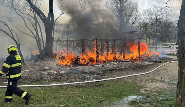 VIDEO: Stáje v Praze lehly popelem. Uhynuli v nich koně