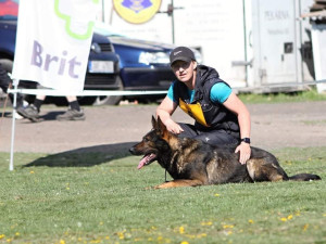 Zloděj chtěl vykrást dům, ale vyrušila ho majitelka. V křoví ho vyčmuchal policejní pes