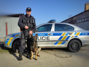 Zloděj chtěl vykrást dům, ale vyrušila ho majitelka. V křoví ho vyčmuchal policejní pes