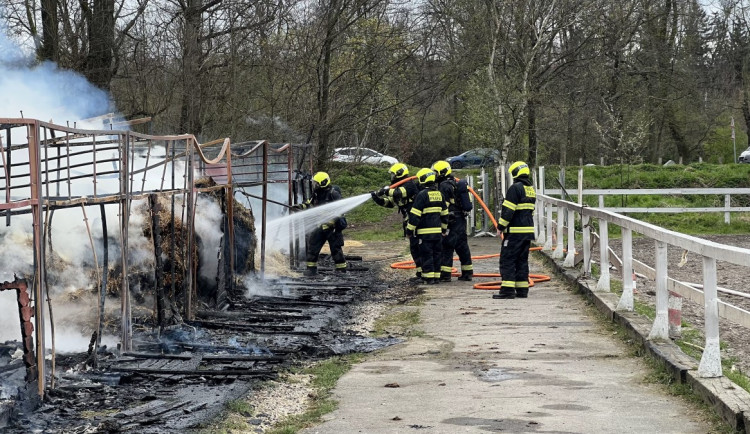 Při požáru zahynulo osm koní.