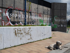 U metra Vltavská je nová výstava, poslední před zahájením stavby
