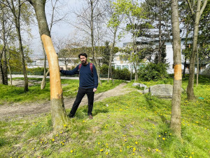 Vandal likviduje stromy na Žižkově. Strhává jim kůru