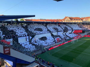 Slavie opanovala finále poháru a bere vítězství na hřišti i v hledišti