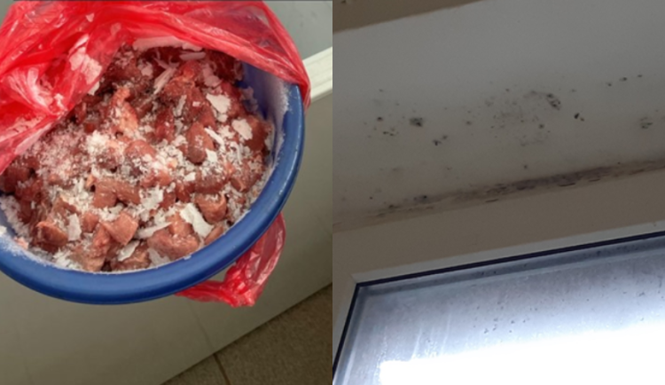 Hygienici objevili neoznačené maso nebo plesnivé okno.
