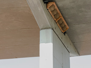 Pražská integrovaná doprava