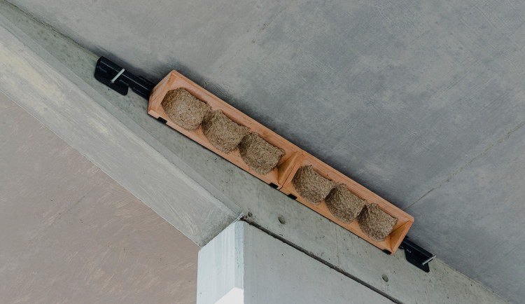 Pražská integrovaná doprava