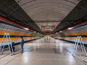 Kavka zabloudila a strávila dva týdny ve stanici metra. Teď jí lidé pomáhají sbírkou