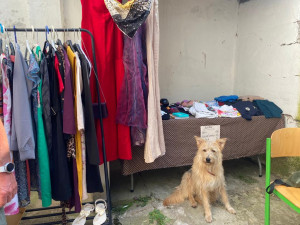 Žižkovské podniky otevřely svoje dvorky pro veřejnost