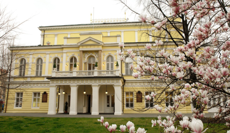 Obraz Toyen se v aukci na Žofíně prodal za necelých 38 milionů