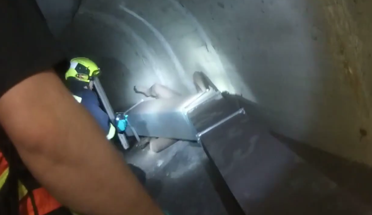 VIDEO: Uprchlý vězeň uvízl v metru, zastavili kvůli němu provoz