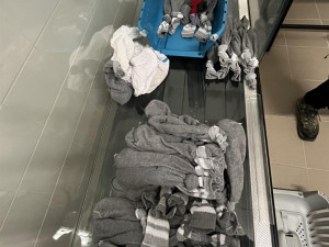 Ruzynští celníci našli v kufru šedesát živých hadů, k tomu želvy a gekony