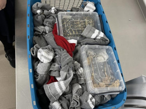 Ruzynští celníci našli v kufru šedesát živých hadů, k tomu želvy a gekony