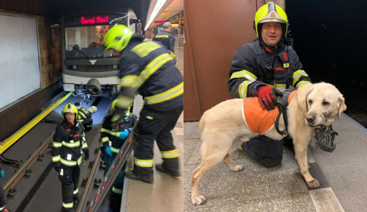 Mladá nevidomá žena spadla do kolejiště metra i se svým vodicím psem