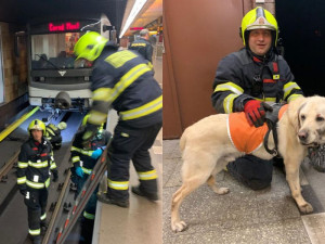 Mladá nevidomá žena spadla do kolejiště metra i se svým vodicím psem