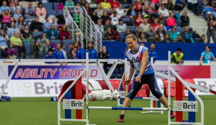 Mistrovství světa agility v Liberci se nezadržitelně blíží, vstupenky mizí
