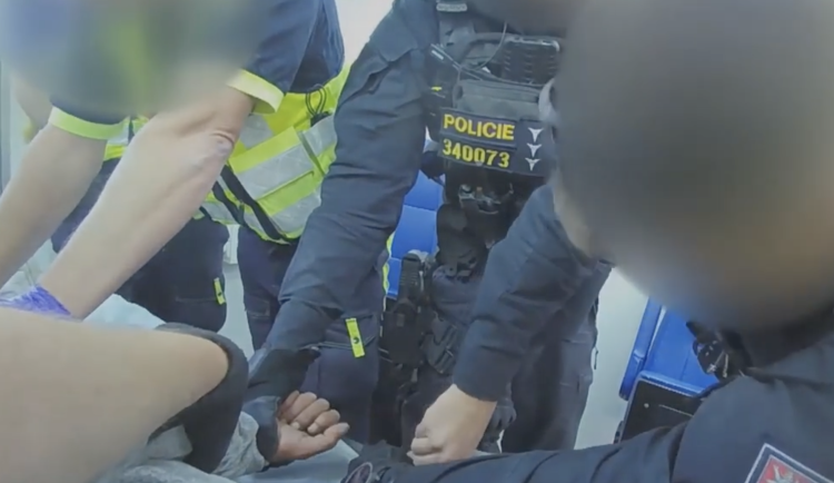 Žena skončila v poutech.