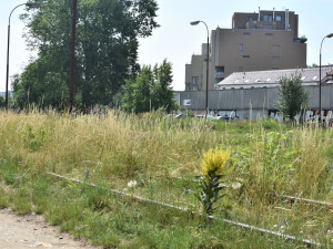 Sedmička začala se stavbou nového parku u Vltavy, stát bude skoro padesát milionů