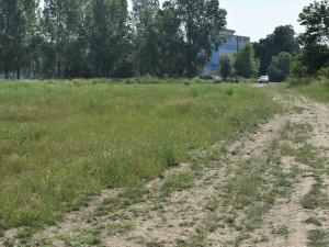 Sedmička začala se stavbou nového parku u Vltavy, stát bude skoro padesát milionů