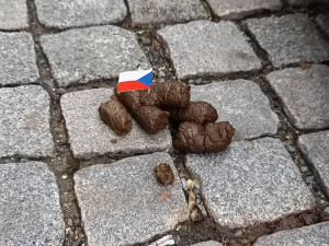 Strážníci v Praze řeší neuklizené psí bobky ve valné většině domluvou páníčkům