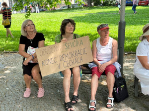 VIDEO: Před VŠE vyjádřily podporu Ševčíkovi desítky lidí, promluvil i pravomocně odsouzený politik Skála nebo herec Vyskočil