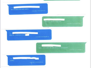 Mladík vyhledával přes TikTok chlapce. Policie ho obvinila z únosu a znásilnění