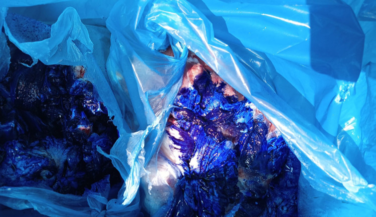 V tržnici Sapa našli v autech přes sto kilo pochybného masa a mléčných výrobků