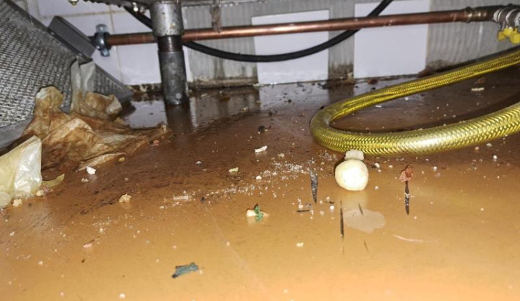 Z této podlahy se určitě jíst nedalo.