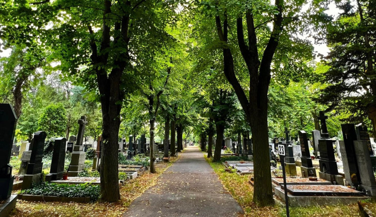 Bude vedro, přijďte se k nám zchladit, naši obyvatelé budou rádi, zvou pražské hřbitovy
