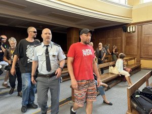 Jste fašisti zku*vení, prasata. Dezinfoscéna řádila v soudní síni, Čermák jde za mříže